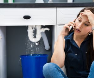 About Water Leak Detection Pros Honokaa, HI